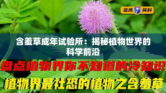 含羞草成年试验所：揭秘植物世界的科学前沿