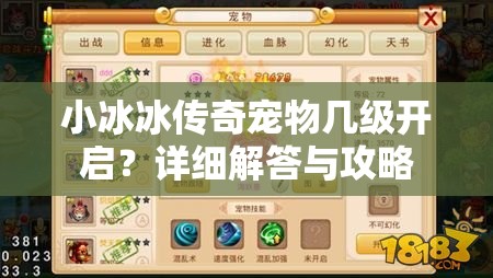 小冰冰传奇宠物几级开启？详细解答与攻略